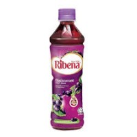 Ribena Blackcurrant Fruit Drink Pet Bottle - 450ML x 24